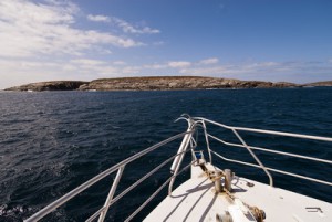 The Neptune Islands in South Australia