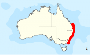 Australian Grey Nurse Shark - East Coast Distribution Map