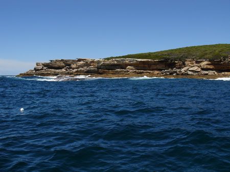 Grey Nurse aggregation site at Magic Point in Sydney