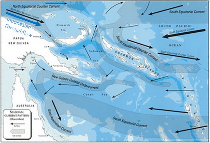 Papua New Guinea's Marine Biodiversity