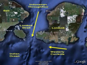 Map of Lombok currents