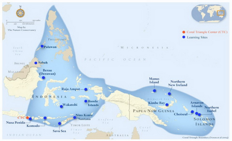 Papua New Guinea's Marine Biodiversity