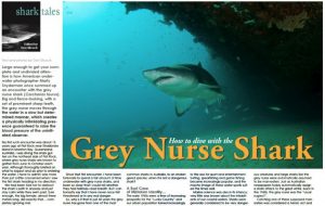X-Ray article on the Grey Nurse shark in Australia