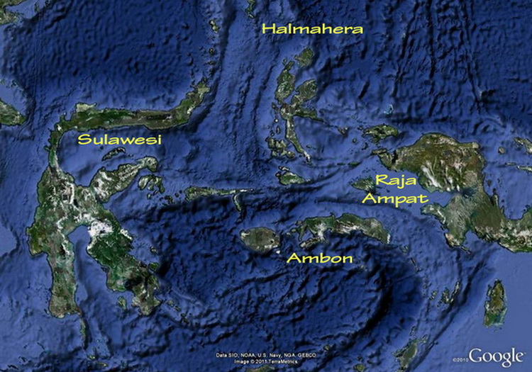 Elevation Map Of Halmahera North Maluku Indonesia Top