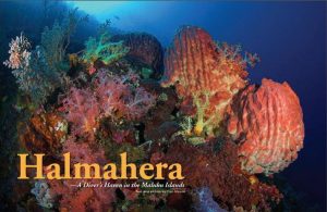 Diving Halmahera