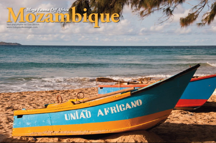 Mozambique Megafauna article