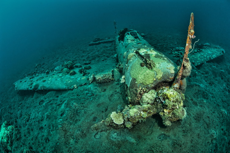 The Aircraft Wrecks of Papua New Guinea - The Mitsibishi Zero Wreck in Kimbe Bay