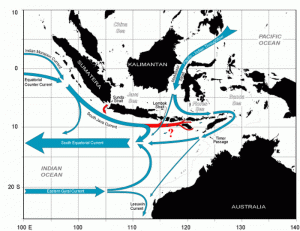 Indonesian Throughflow Map