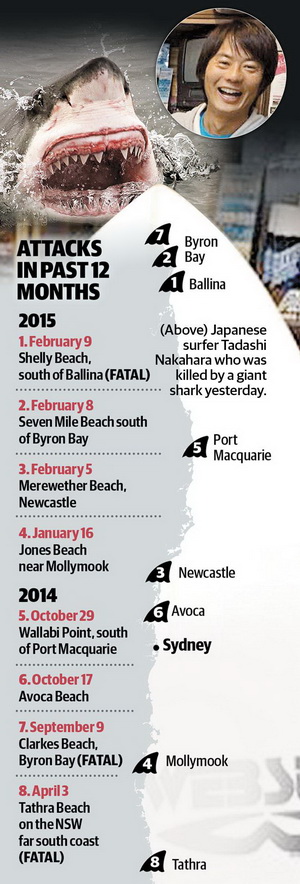 Australian Great White Shark - Shark Attacks Daily Telegraph