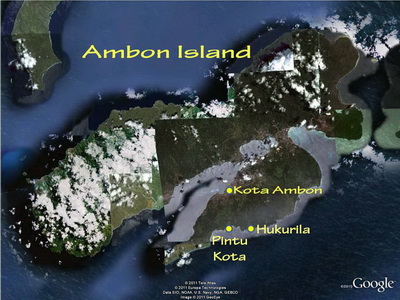 The south coast of Ambon's dive sites