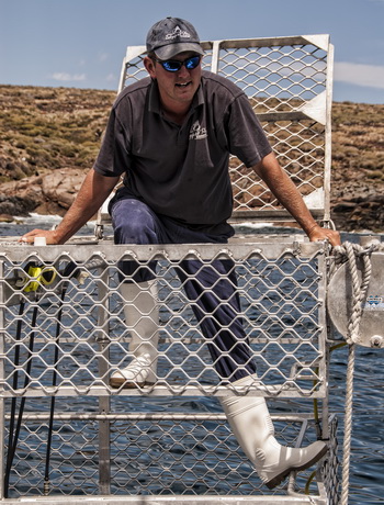 Great White Shark Cage Diving Operators - Andrew Wright