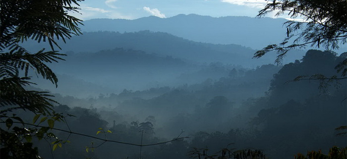 First Contact in Papua New Guinea - PNG Mountains - Image courtesy of www.intothejungle.org