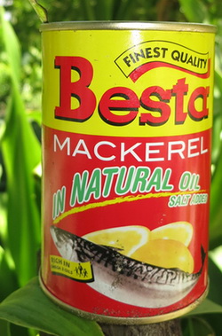 Cathy's Eels - Besta Mackerel - Eel Food of Choice...
