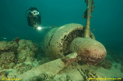 The Wreck of the Kate Bomber 