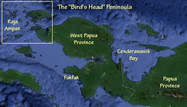 Map of the Birds Head Penninsula