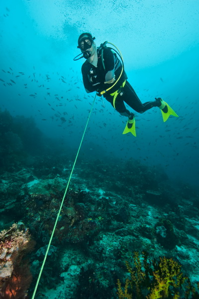 Diver on a reef-hook