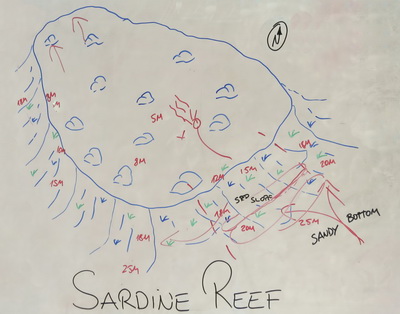 Dive Site Map of Sardine Reef