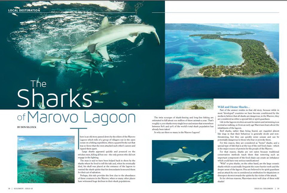 Sharks of the Marovo Lagoon