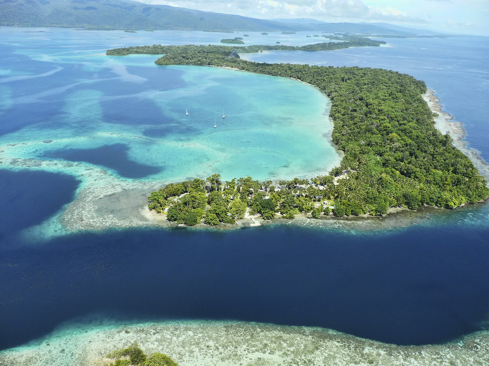 The Sharks of the Marova Lagoon