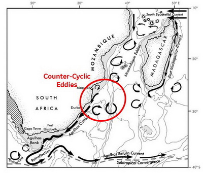 Major currents in Southern Mozambique - Tofo Megafauna