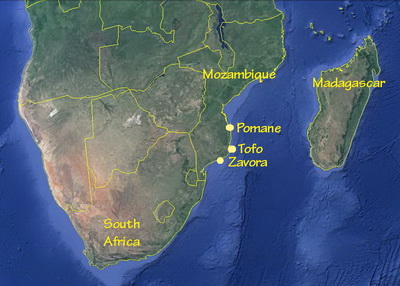 Tofo Megafauna - Southern Africa map and the Zavora to Pomene corridor