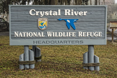 Planning Your Trip to Crystal River