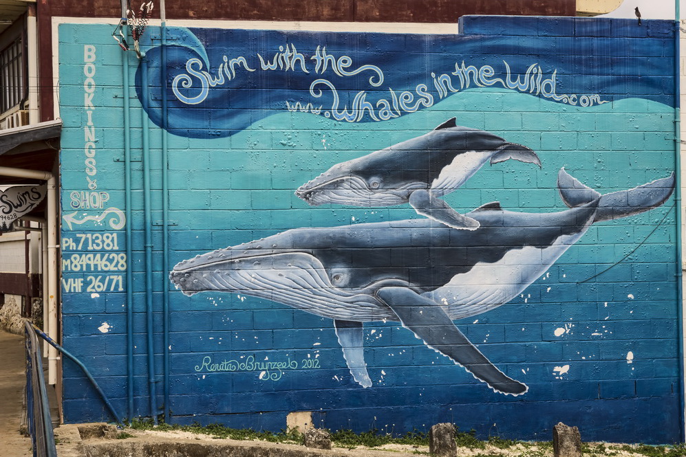 Vavu’a whale swimming operators - It pays to advertise...