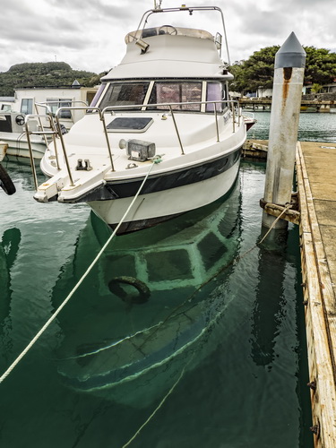 Vavu’a whale swimming operators - last year's dive boat