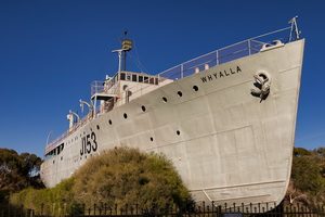 The Complete Guide to the Giant Australian Cuttlefish - HMAS Whyalla