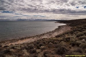 Cuttlefish conservation in Whyalla - The area around Black Point, near Whyalla in South Australia