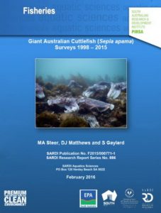 Cuttlefish Conservation in Whyalla