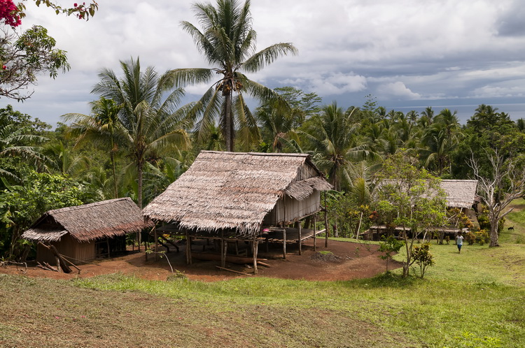 Puri Puri Men of Papua New Guinea - Tuvirade Village