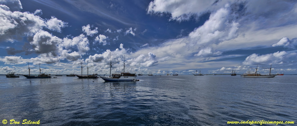 Resort Based Diving in Raja Ampat - Liveaboards in Sorong Harbor