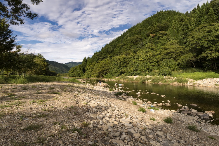 Where to see the Japanese Giant Salamander