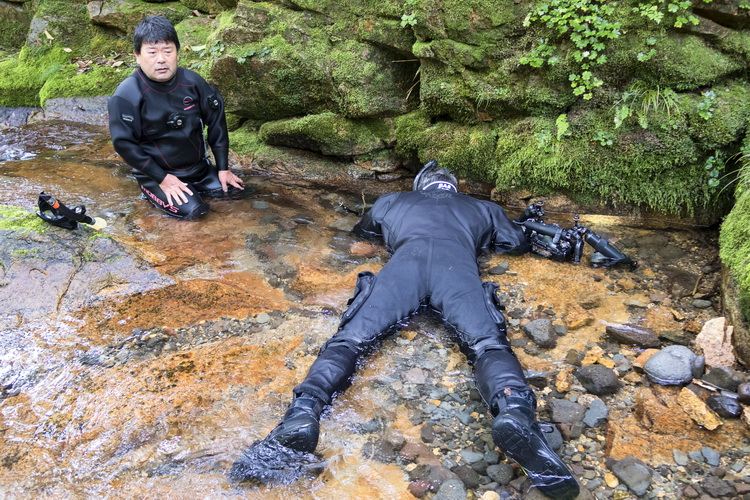 Where to see the Japanese Giant Salamander