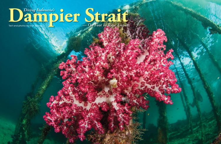 Resort Based Diving in Raja Ampat - X-Ray Magazine Article