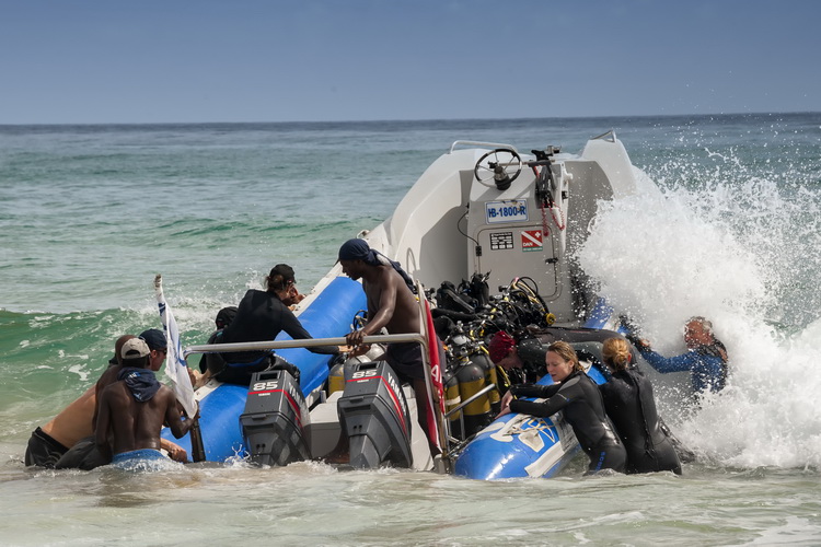 Need to Know To Dive Tofo - Beach launching in Tofo