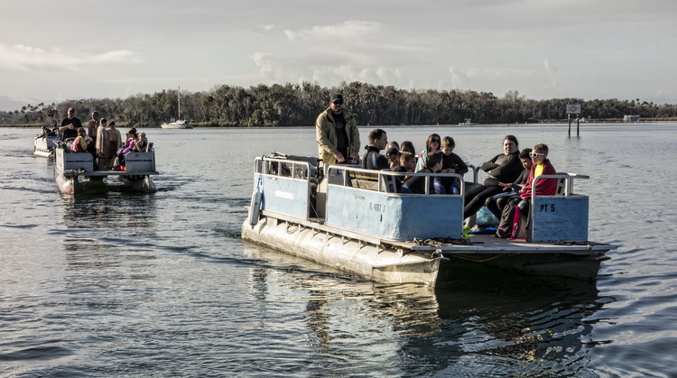 Manatees of Crystal River - Tourists at Crystal River return from a Manatee interaction