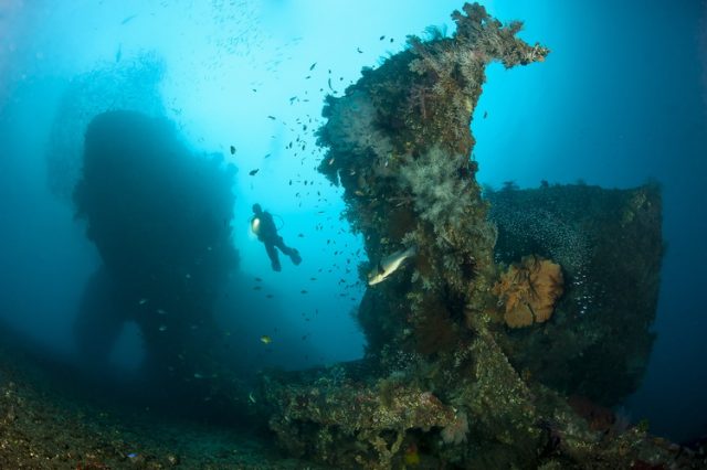 The Liberty Wreck - Diving Bali's Famous Shipwreck | Indopacificimages