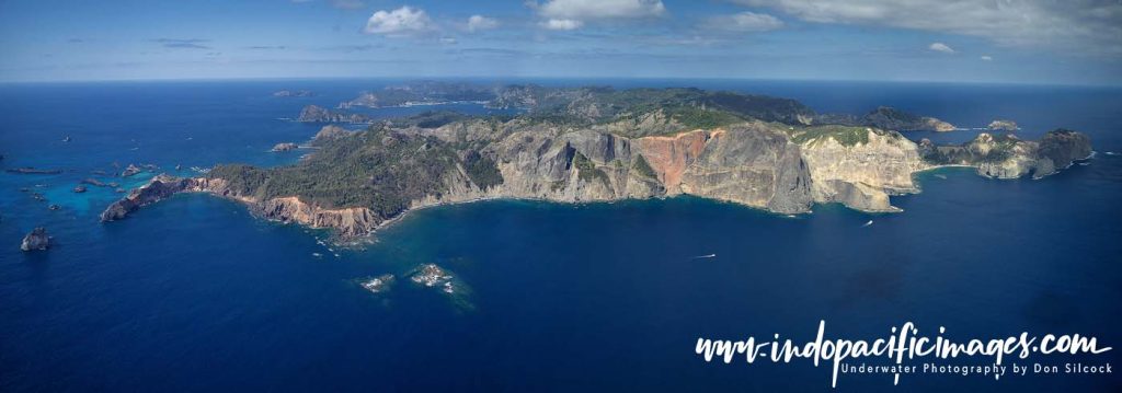 Diving the Ogasawara Islands
