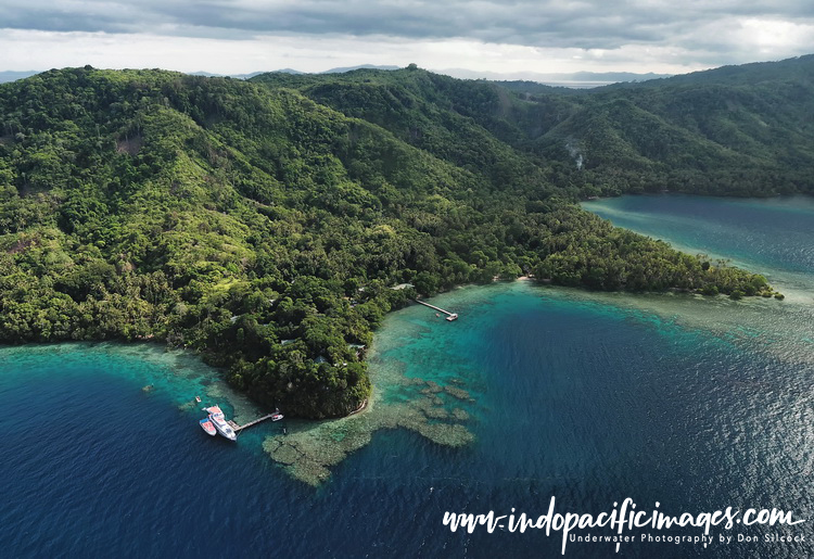Diving the North Coast of Milne Bay