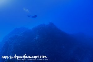 Diving Princess Alice Seamount