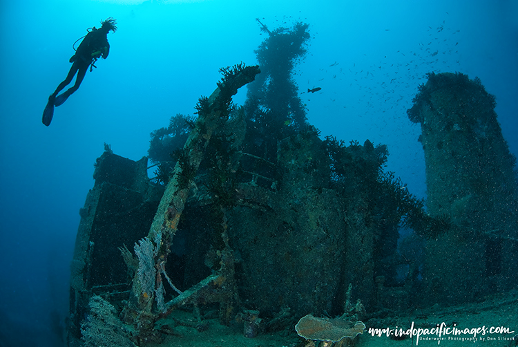 Diving the Pacific Gas Wreck