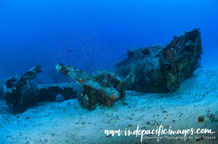 Diving PNG’s Holy Grail