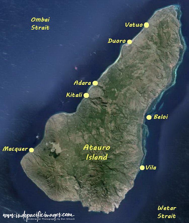 Atauro Island Diving