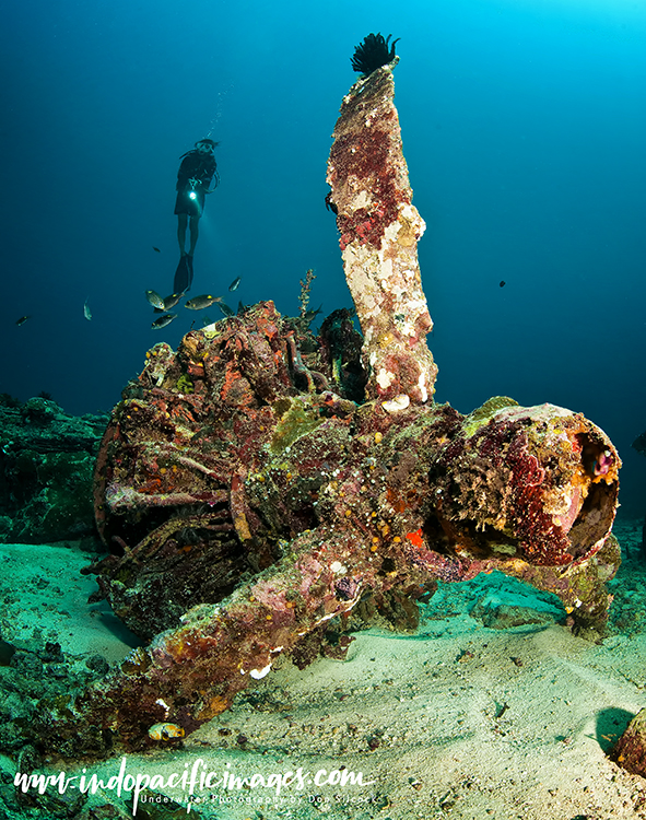 Catalina Wreck