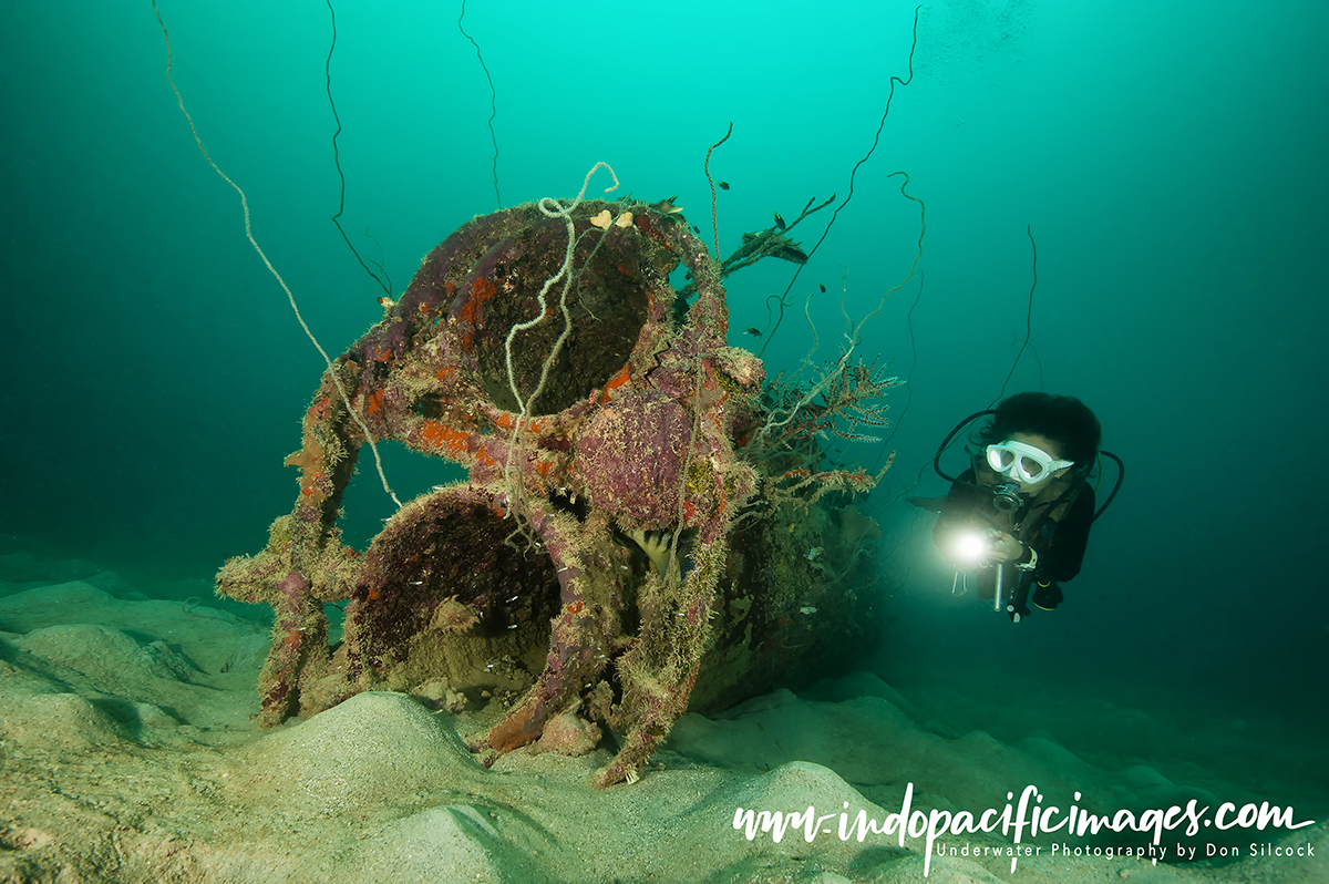 Underwater Photography in Papua New Guinea