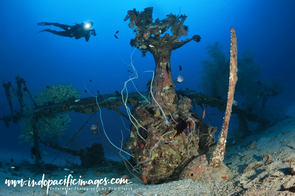 Underwater Photography in Papua New Guinea