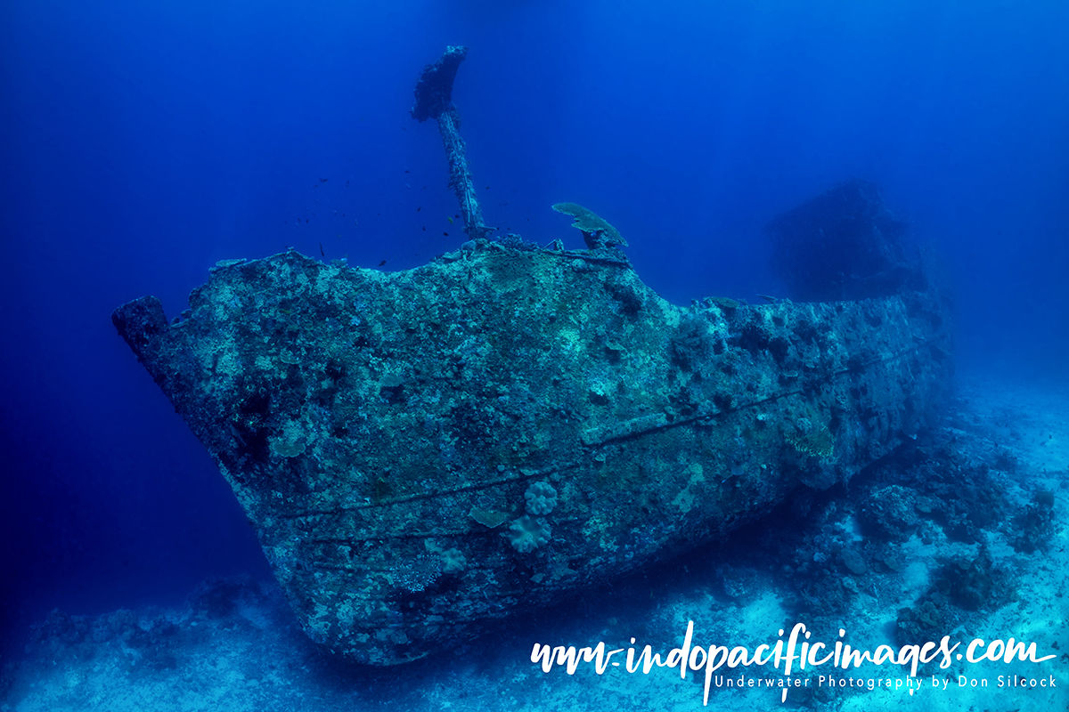 Underwater Photography in Papua New Guinea