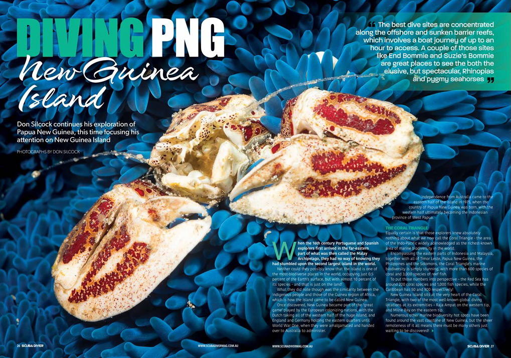 Diving New Guinea Island